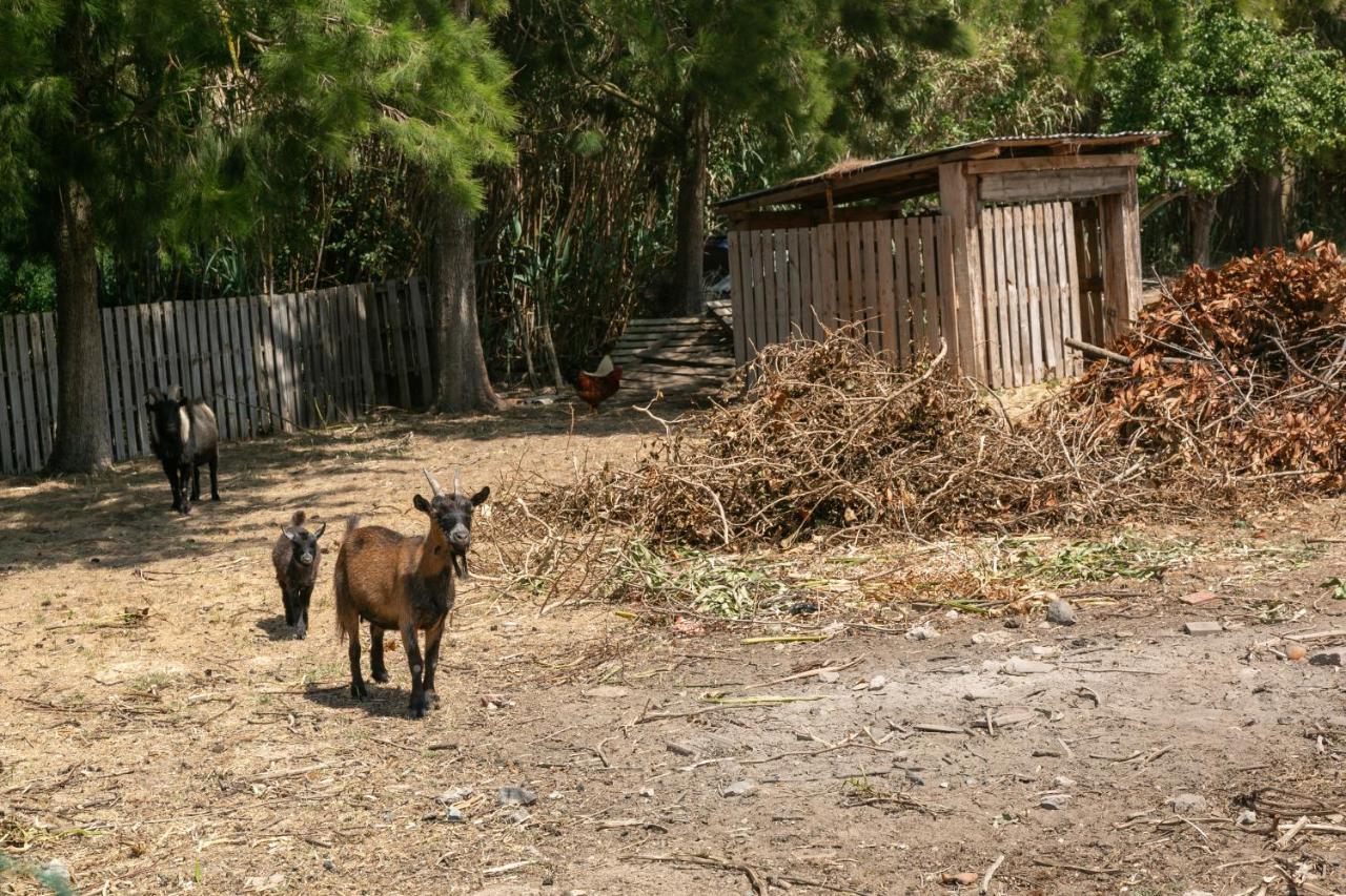 Villa Arneiro 1 Maçeira Dış mekan fotoğraf